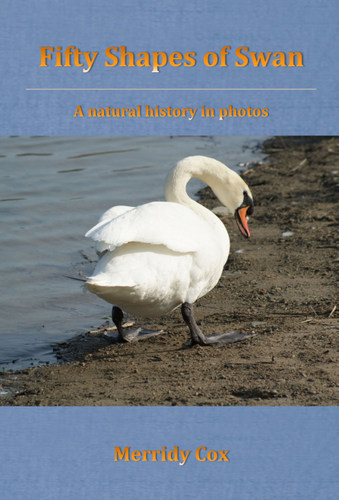 Fifty Shapes of Swan: A Natural History in Photos