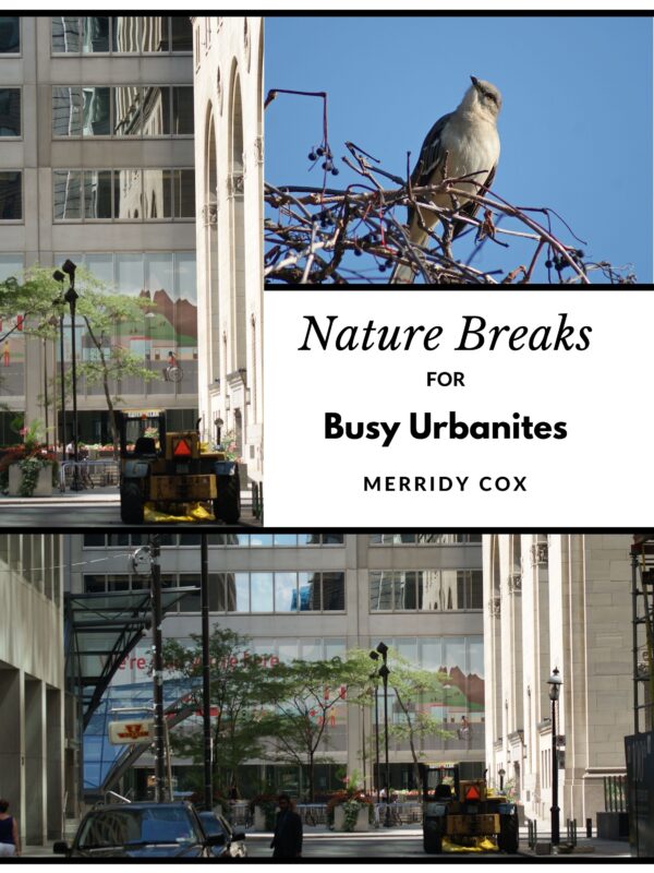 Nature Breaks for Busy Urbanites: Five Doses for Relaxation